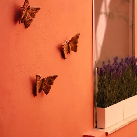 Affittacamere Casa Di Olga - Charming Syracuse